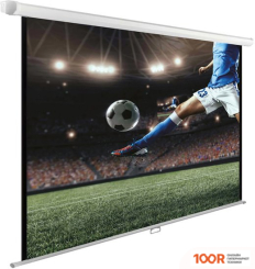 Проекционный экран Hiper CINEMA SWL 4X3-120 (234978)