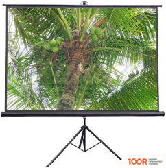Проекционный экран Future Vision TRIPOD 180X180 T180SMW (234958)