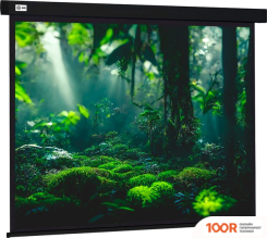 Проекционный экран CACTUS WALLSCREEN 213X213 CS-PSW-213X213-BK (234914)