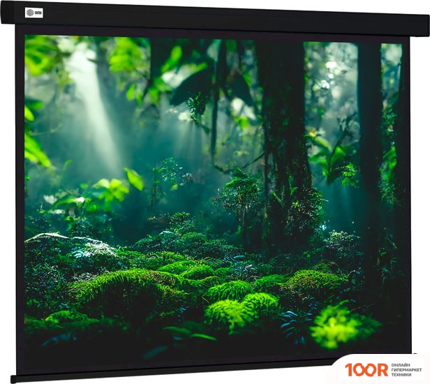 Проекционный экран CACTUS WALLSCREEN 213X213 CS-PSW-213X213-BK (234914)