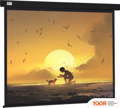 Проекционный экран CACTUS WALLSCREEN 150X150 CS-PSW-150X150-BK (234900)