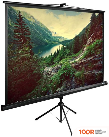 Проекционный экран CACTUS TRIEXPERT 220X220 CS-PSTE-220X220-BK (234889)