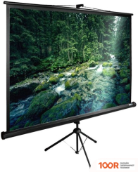 Проекционный экран CACTUS TRIEXPERT 165X220 CS-PSTE-220X165-BK (234888)
