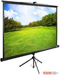 Проекционный экран CACTUS TRIEXPERT 150X200 CS-PSTE-200X150-BK (234887)