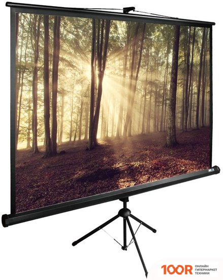 Проекционный экран CACTUS TRIEXPERT 135X180 CS-PSTE-180X135-BK (234886)