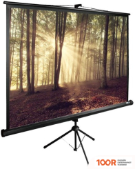 Проекционный экран CACTUS TRIEXPERT 135X180 CS-PSTE-180X135-BK (234886)