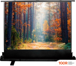 Проекционный экран CACTUS FLOOREXPERT 135X180 CS-PSFLE-180X135 (234869)