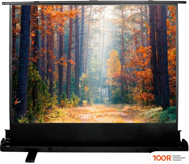 Проекционный экран CACTUS FLOOREXPERT 135X180 CS-PSFLE-180X135 (234869)