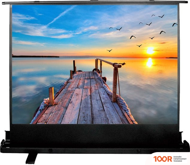 Проекционный экран CACTUS FLOOREXPERT 113X200 CS-PSFLE-200X113 (234867)
