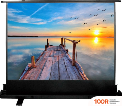 Проекционный экран CACTUS FLOOREXPERT 113X200 CS-PSFLE-200X113 (234867)