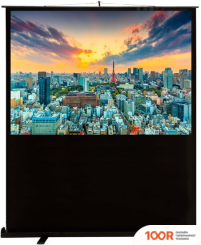 Проекционный экран CACTUS FLOORCOMPACTEXPERT 120X160 CS-PSFLCE-160X120 (234866)