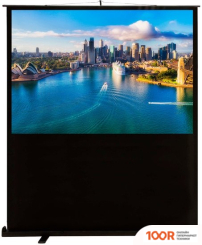 Проекционный экран CACTUS FLOORCOMPACTEXPERT 120X160 CS-PSFLCE-160X120 (234866)