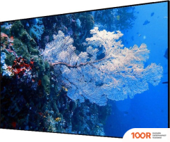 Проекционный экран CACTUS ALR EXPERT 151X267 CS-PSALR-267X151 (234865)