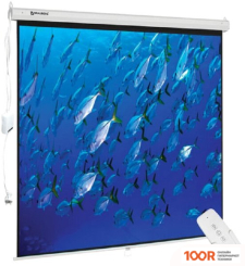 Проекционный экран BRAUBERG MOTO 4:3 (180X180) 236733 (234849)