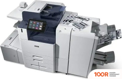 Xerox ALTALINK B8245 (233872)