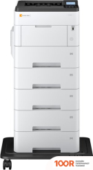 Triumph-Adler P-6033DN (233868)