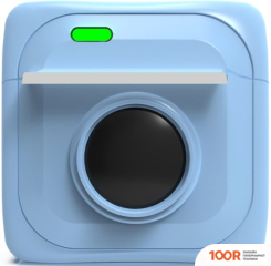 Ritmix RTP-001 BLUE (233820)