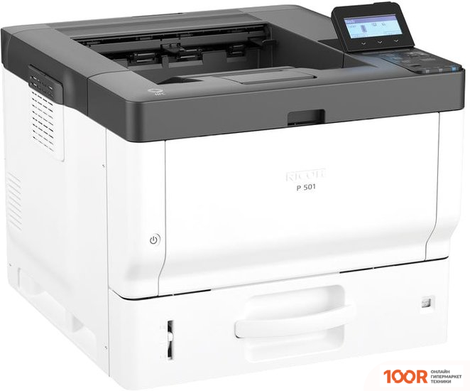 Ricoh P 501 (233807)
