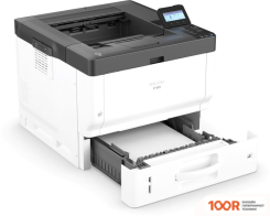 Ricoh P 501 (233807)