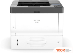 Ricoh P 501 (233807)