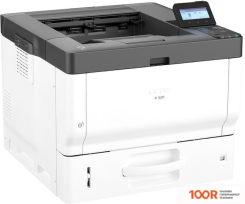 Ricoh P 501 (233807)