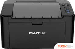 Pantum P2516 (233766)