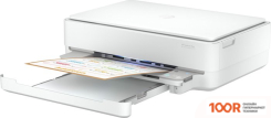 HP DESKJET PLUS INK ADVANTAGE 6075 5SE22C (233451)