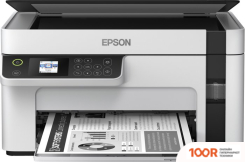 Epson M2110 (233331)