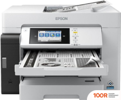 Epson M15180 C11CJ41408 (233330)