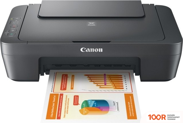 Canon PIXMA MG2556S (233212)