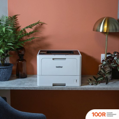 Brother HL-L5210DW (233059)