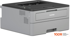 Brother HL-L2350DW (233057)