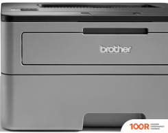 Brother HL-L2350DW (233057)