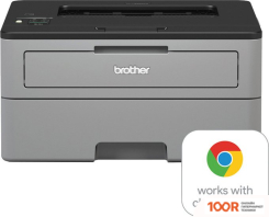 Brother HL-L2350DW (233057)
