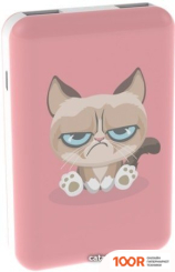 Внешний аккумулятор Ritmix RPB-10007 (СЕРДИТЫЙ КОТ) (230078)