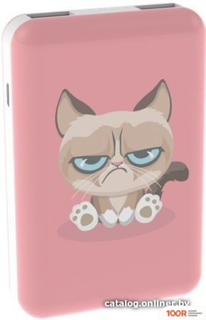 Внешний аккумулятор Ritmix RPB-10007 (СЕРДИТЫЙ КОТ) (230078)