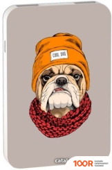 Внешний аккумулятор Ritmix RPB-10007 (БУЛЬДОГ) (230077)