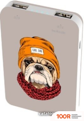 Внешний аккумулятор Ritmix RPB-10007 (БУЛЬДОГ) (230077)