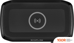 Внешний аккумулятор EcoFlow RIVER MINI (229539)