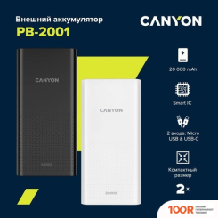 Внешний аккумулятор Canyon PB-2001 20000MAH (БЕЛЫЙ) (229435)
