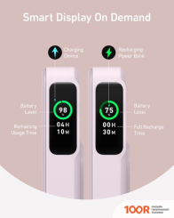 Внешний аккумулятор Anker MAGGO POWER BANK A1654 10000MAH (РОЗОВЫЙ) (228971)