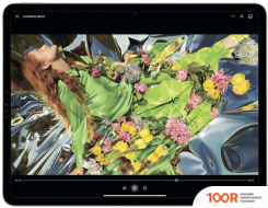 Планшет Apple IPAD PRO 11" 2022 128GB MNXD3 (СЕРЫЙ КОСМОС) (226525)
