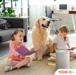 Tion IQ 100 (БЕЛЫЙ) (225003)