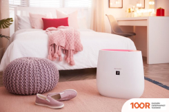 Sharp FP-J30EU-P (224897)