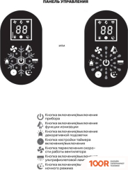 Pioneer AP111 (224850)