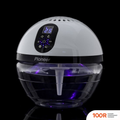 Pioneer AP111 (224850)