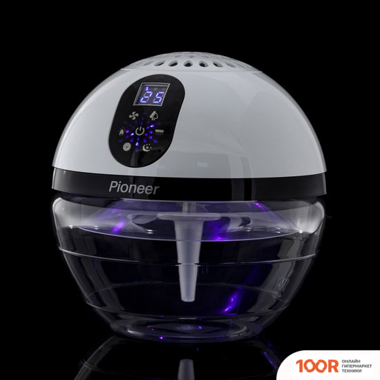 Pioneer AP111 (224850)