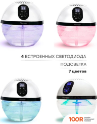 Pioneer AP111 (224850)