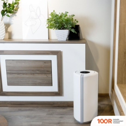 Libhof AC-2380 (224784)