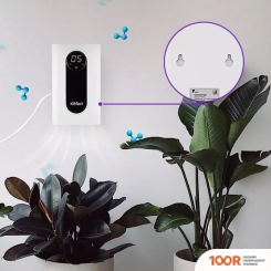 Kitfort KT-2855 (224749)